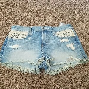 Hollister Shorts